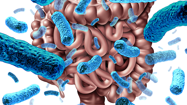 Vedanta Biosciences Raises $27 Million for microbiome research